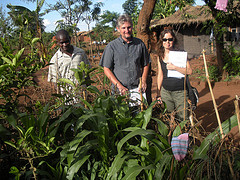 Danielle Nierenberg visits Kristof Nordin's permaculture garden in Malawi