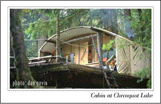 Cabin at Clayoquot Lake