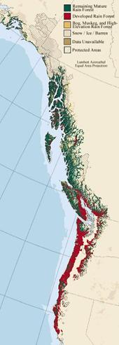 Remaining mature rainforests Vancouver Island