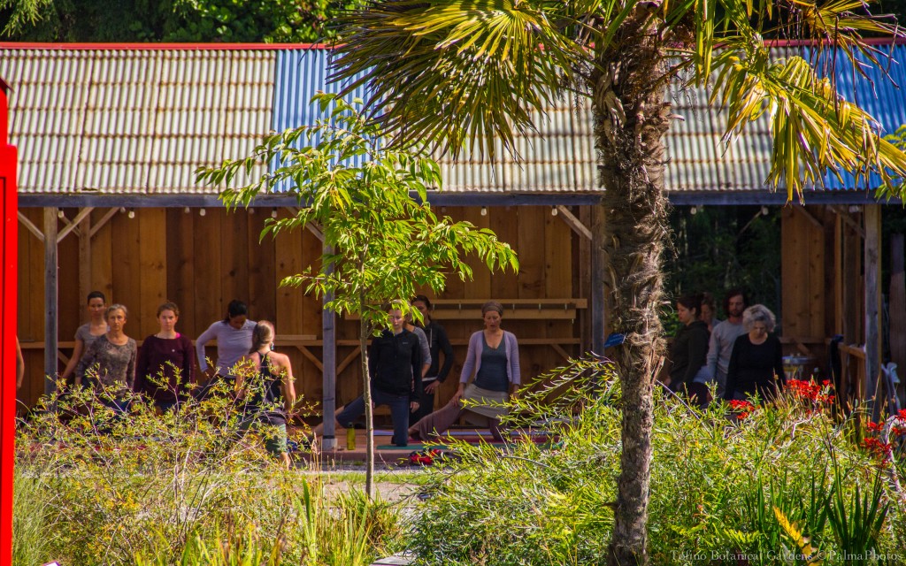 Yoga in Pavillion