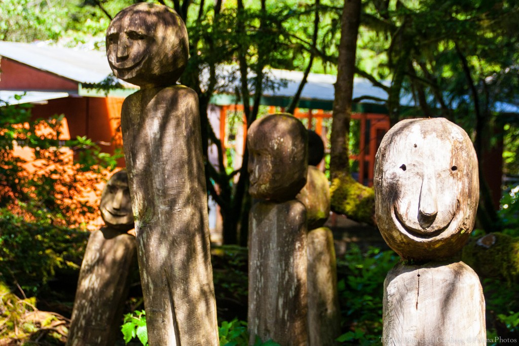 Tofino Botanical Gardens - Gardens-6